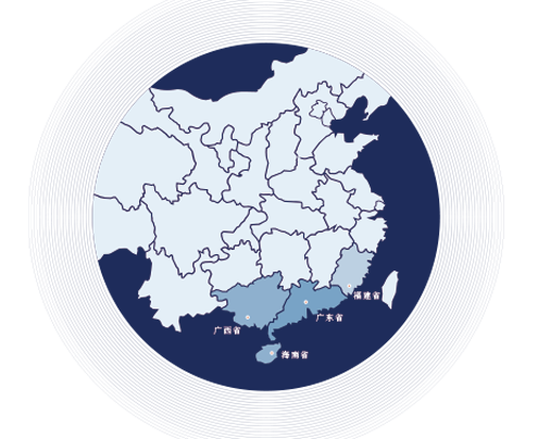 项目分布